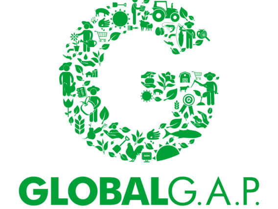 GLOBAL GAP