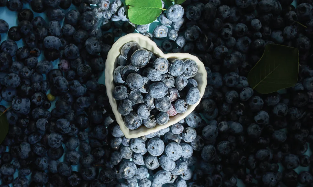land-of-berry-01