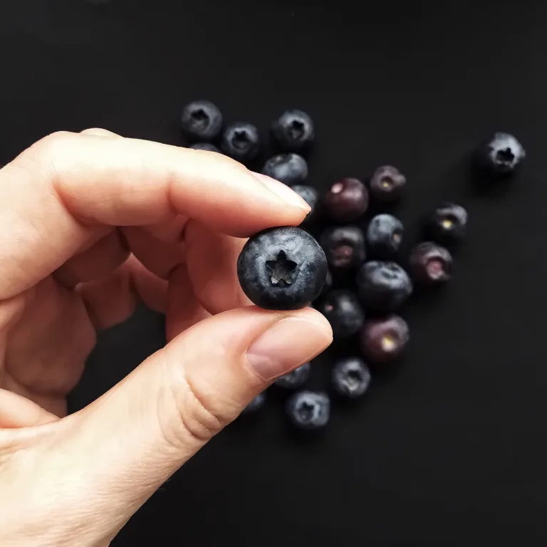 yaban mersini ve göz sağlığı