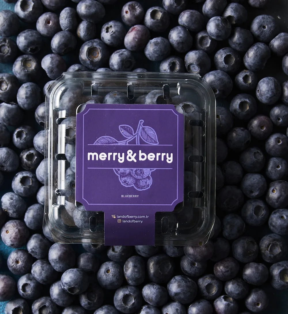 Blueberry 0,5 Kg