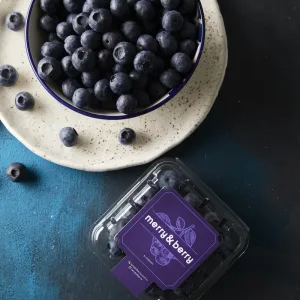 Blueberry 1 Kg